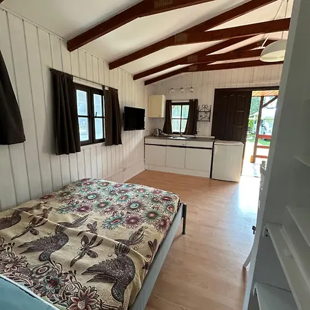 Narcyz Międzywodzie