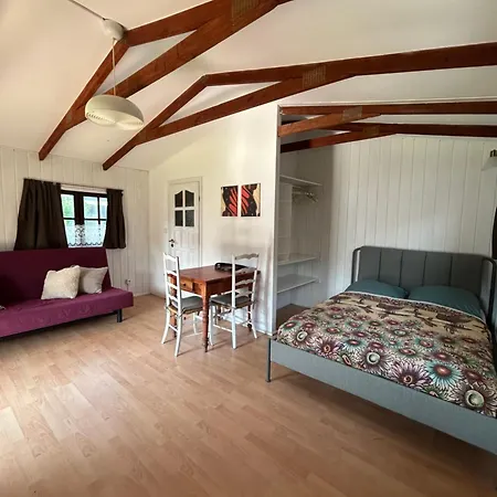 Narcyz * Międzywodzie