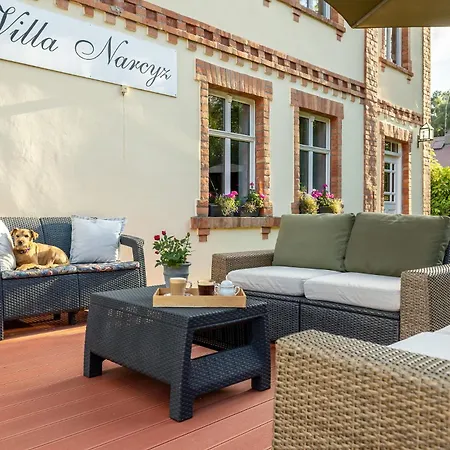 Narcyz Międzywodzie