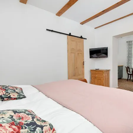 Narcyz Międzywodzie